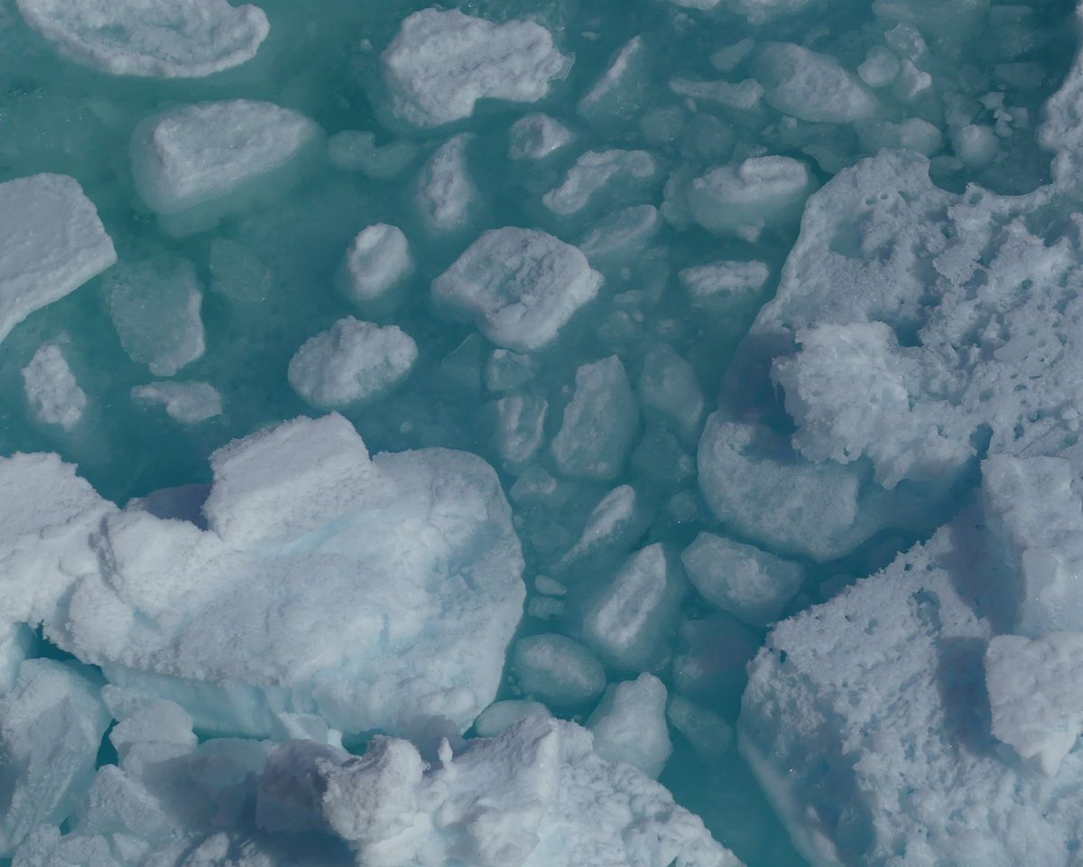 Pack ice seen from above